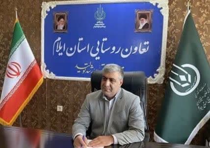 ظرفیت تولید مرغ در ایلام، بیش از ۳ برابر وضعیت فعلی است