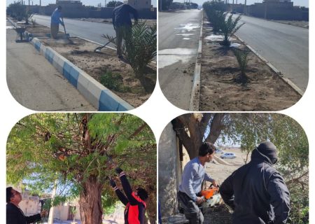 هرس و شاخه زنی بیش از دو هزار اصله درخت در مهران