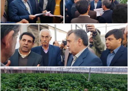 بازدید نماینده مجلس از شهرک گلخانه‌ای صالح‌آباد با هدف رفع موانع تولید