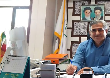 توزیع ۱۴ تن مرغ منجمد در استان ایلام