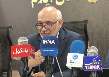 مدیرکل امور مالیاتی ایلام: تحقق ۱۳ درصدی فراتر از پیشبینی درآمدهای مالیاتی در سال گذشته