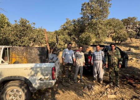 کشف و انهدام ۹ بشکه زغال و مقطوعات جنگلی در ایلام توسط نیروهای منابع طبیعی