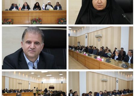 تحلیل علل اعتراضات دی‌ماه ۱۴۰۴ در دانشگاه ایلام؛ تأکید سارا فلاحی بر اصلاح تصمیمات اقتصادی داخلی