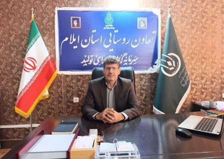 تعدیل قیمت میوه شب عید در ایلام؛ سیب ۹۵ هزار تومان و پرتقال ۵۵ هزار تومان شد