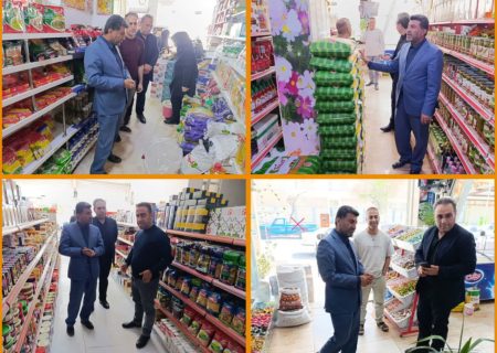 فرماندار ویژه دهلران: هیچ مشکلی در تامین کالا و خدمات شهرستان وجود ندارد