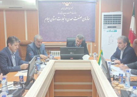 نظارت بر بازار ایلام تشدید شد: رصد روزانه اقلام اساسی در دستور کار
