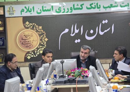 تأمین برق اضطراری بانک‌ها در ایلام ضروری است؛ لزوم تجهیز فوری شعب به ژنراتور