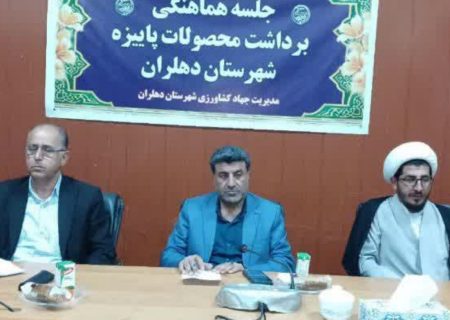 پیش‌بینی تحویل ۱۹۰ هزار تن گندم به سیلوهای دهلران: آمادگی کامل برای فصل برداشت