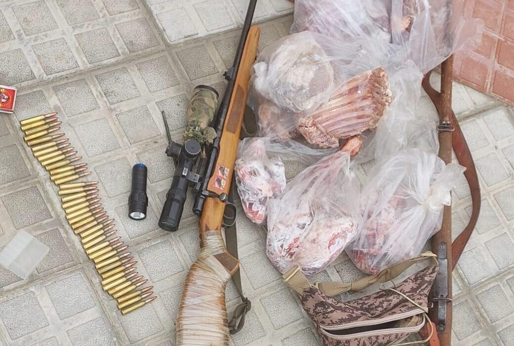 شناسایی و برخورد با شکارچیان متخلف در ایلام؛ شکار دو رأس کل وحشی در کولگ مهران