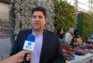 هشدار میراثفرهنگی ایلام درباره تورهای غیرمجاز؛ گردشگران فقط با تورهای دارای مجوز سفر کنند