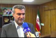 پرداخت مطالبات گندمکاران ایلامی آغاز شد؛ خرید ۱۸۰ هزار تن گندم از کشاورزان استان