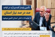 تأمین گندم و آرد در ایلام بدون مشکل ادامه دارد؛ ذخایر راهبردی استان در وضعیت مطلوب قرار دارد