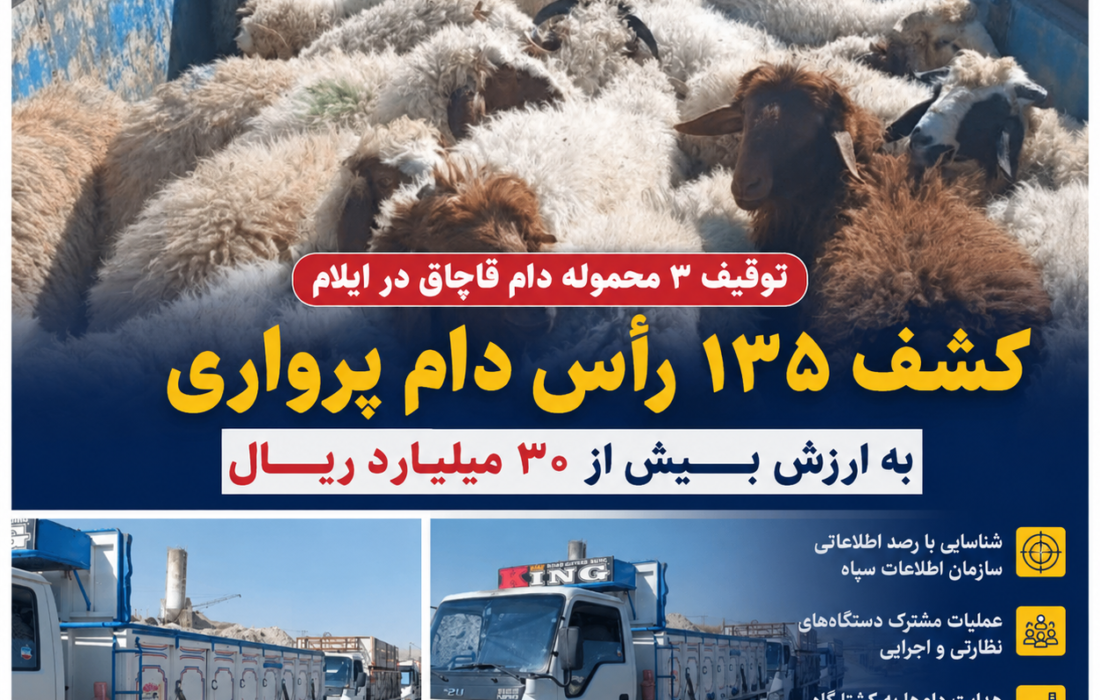 توقیف ۳ محموله دام قاچاق در ایلام؛ کشف ۱۳۵ رأس دام پرواری به ارزش بیش از ۳۰ میلیارد ریال