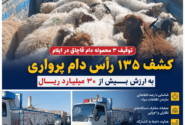 توقیف ۳ محموله دام قاچاق در ایلام؛ کشف ۱۳۵ رأس دام پرواری به ارزش بیش از ۳۰ میلیارد ریال