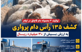 توقیف ۳ محموله دام قاچاق در ایلام؛ کشف ۱۳۵ رأس دام پرواری به ارزش بیش از ۳۰ میلیارد ریال