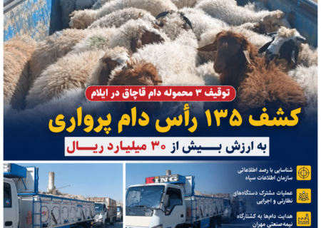 توقیف ۳ محموله دام قاچاق در ایلام؛ کشف ۱۳۵ رأس دام پرواری به ارزش بیش از ۳۰ میلیارد ریال