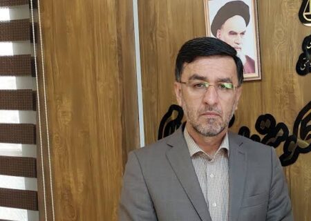 زرگوش: اولین پرونده تخلف برای پارکینگ متخلف در مهران تشکیل شد