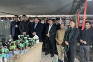 آمادگی کامل دستگاه قضایی ایلام برای خدمت‌رسانی به زائران اربعین در مرز مهران
