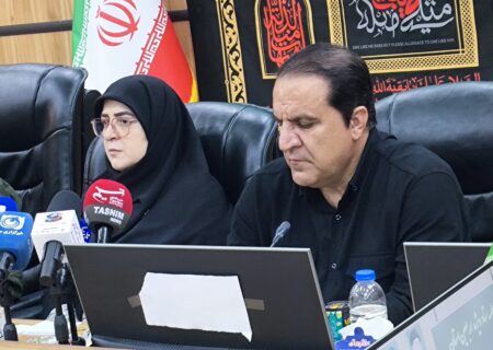 مهاجرانی: مهران پیوندی ناگسستنی با کربلا دارد؛ اربعین فرصتی برای توسعه اقتصاد زیارتی ایلام است