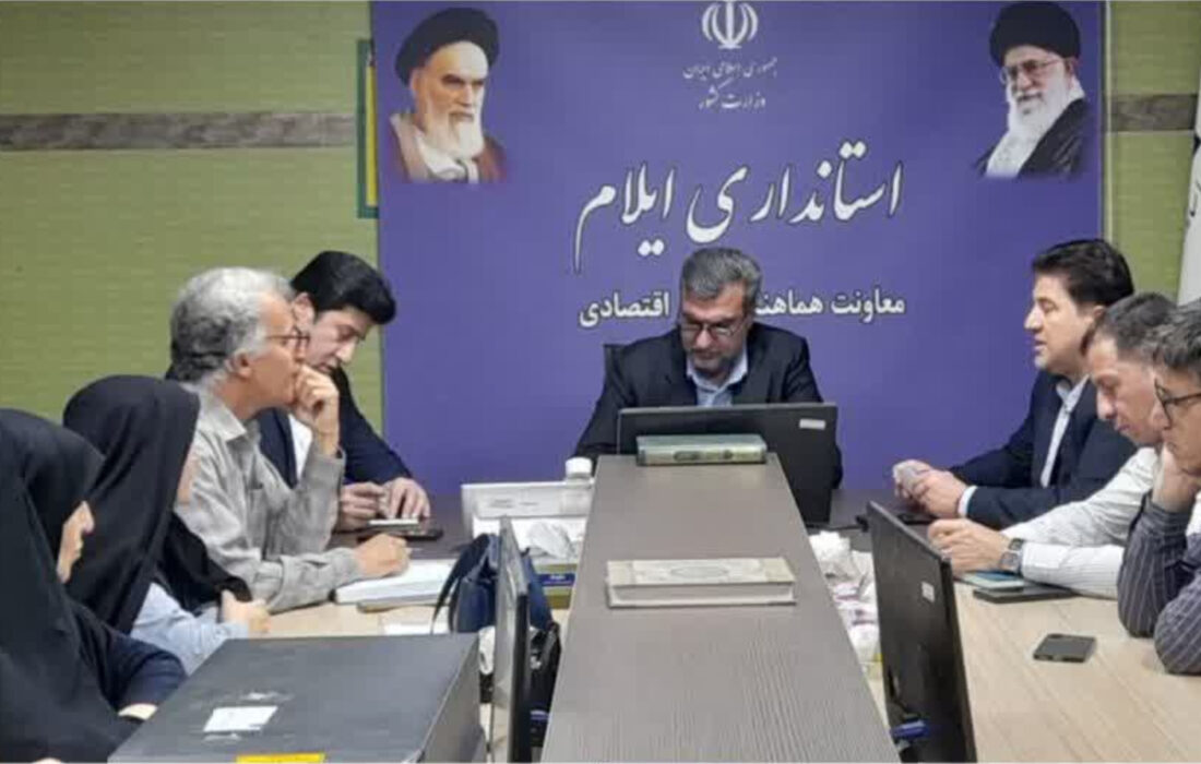 بررسی و پیگیری مشکلات صنعتگران صنایع‌دستی ایلام؛ تأکید معاون استاندار بر حمایت عملی