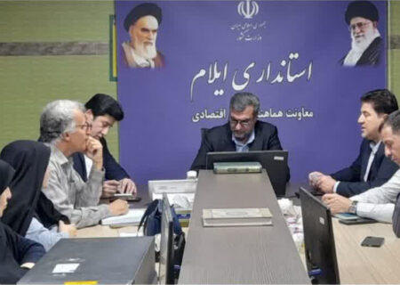 بررسی و پیگیری مشکلات صنعتگران صنایع‌دستی ایلام؛ تأکید معاون استاندار بر حمایت عملی