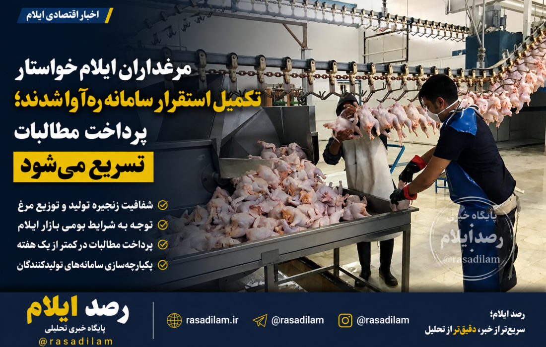 مرغداران ایلام خواستار تکمیل استقرار سامانه ره‌آوا شدند؛ پرداخت مطالبات در کمتر از یک هفته