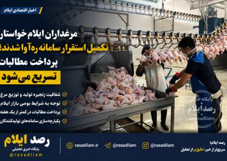 مرغداران ایلام خواستار تکمیل استقرار سامانه ره‌آوا شدند؛ پرداخت مطالبات در کمتر از یک هفته