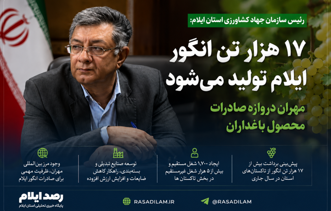 تولید ۱۷ هزار تن انگور در ایلام؛ مهران دروازه صادرات محصول باغداران