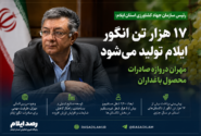 تولید ۱۷ هزار تن انگور در ایلام؛ مهران دروازه صادرات محصول باغداران