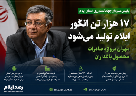 تولید ۱۷ هزار تن انگور در ایلام؛ مهران دروازه صادرات محصول باغداران