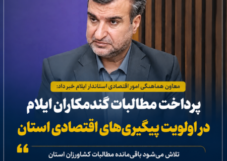 پرداخت مطالبات گندمکاران ایلام در اولویت پیگیری‌های اقتصادی استان قرار گرفت