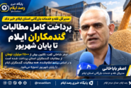 پرداخت کامل مطالبات گندمکاران ایلام تا پایان شهریور