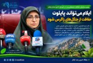 ایلام می‌تواند پایلوت حفاظت از جنگل‌های زاگرس شود
