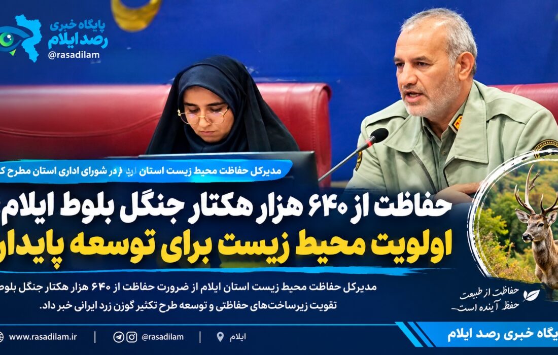 حفاظت از ۶۴۰ هزار هکتار جنگل بلوط ایلام؛ اولویت محیط زیست برای توسعه پایدار