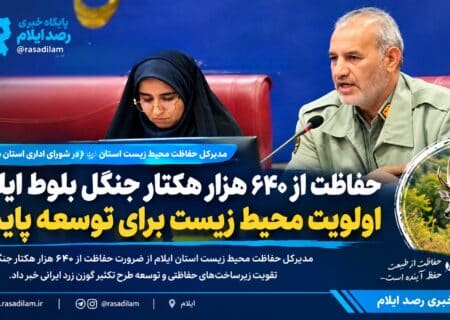 حفاظت از ۶۴۰ هزار هکتار جنگل بلوط ایلام؛ اولویت محیط زیست برای توسعه پایدار