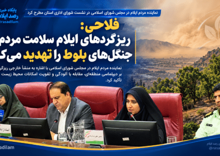 فلاحی: ریزگردهای خارجی سلامت مردم ایلام و جنگل‌های بلوط را تهدید می‌کند