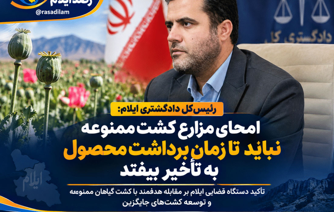 رئیس‌کل دادگستری ایلام: امحای مزارع کشت ممنوعه نباید تا زمان برداشت محصول به تأخیر بیفتد