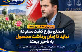 رئیس‌کل دادگستری ایلام: امحای مزارع کشت ممنوعه نباید تا زمان برداشت محصول به تأخیر بیفتد