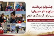 جشنواره برداشت برنج و انار سیروان؛ فرصتی برای گردشگری ایلام