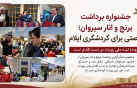 جشنواره برداشت برنج و انار سیروان؛ فرصتی برای گردشگری ایلام